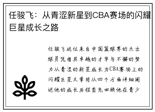任骏飞：从青涩新星到CBA赛场的闪耀巨星成长之路